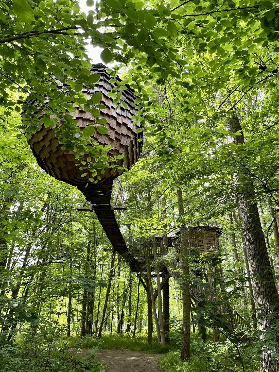 linshesf Nid d'oiseau Chaud d'hiver,Cabane de Couchage pour